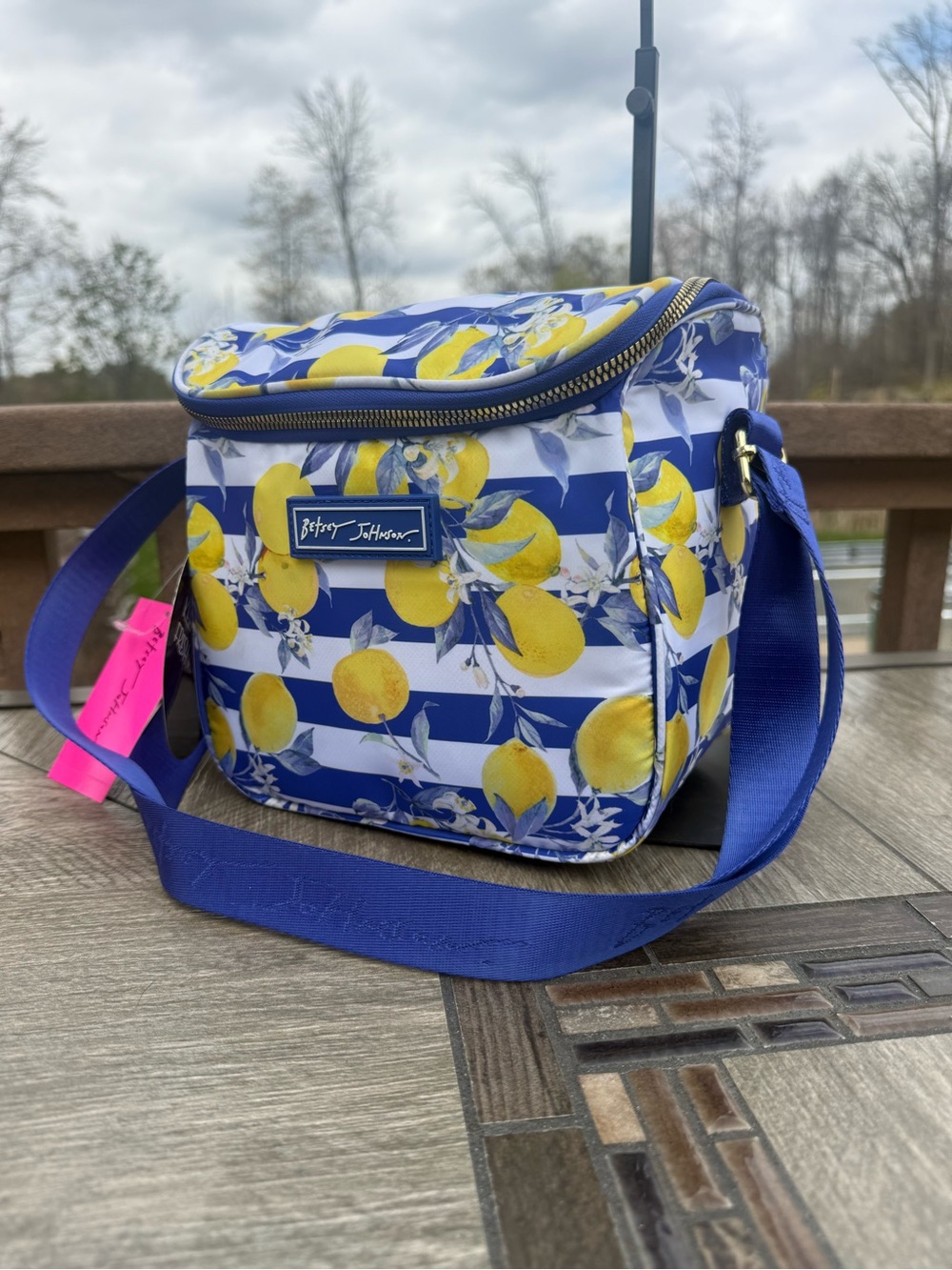 NWT Betsey. Johnson Lemon Stripe Insulated Lunch Crossbody Tote. - Picture 4 of 9